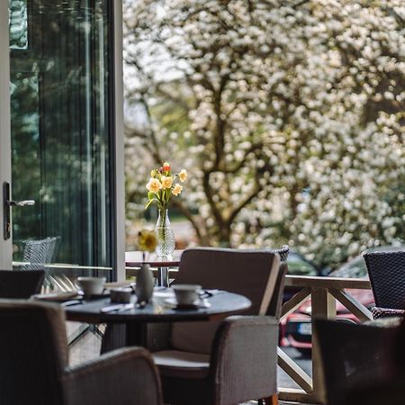 Ambleside Manor - Vegetarian B&B Экстерьер фото
