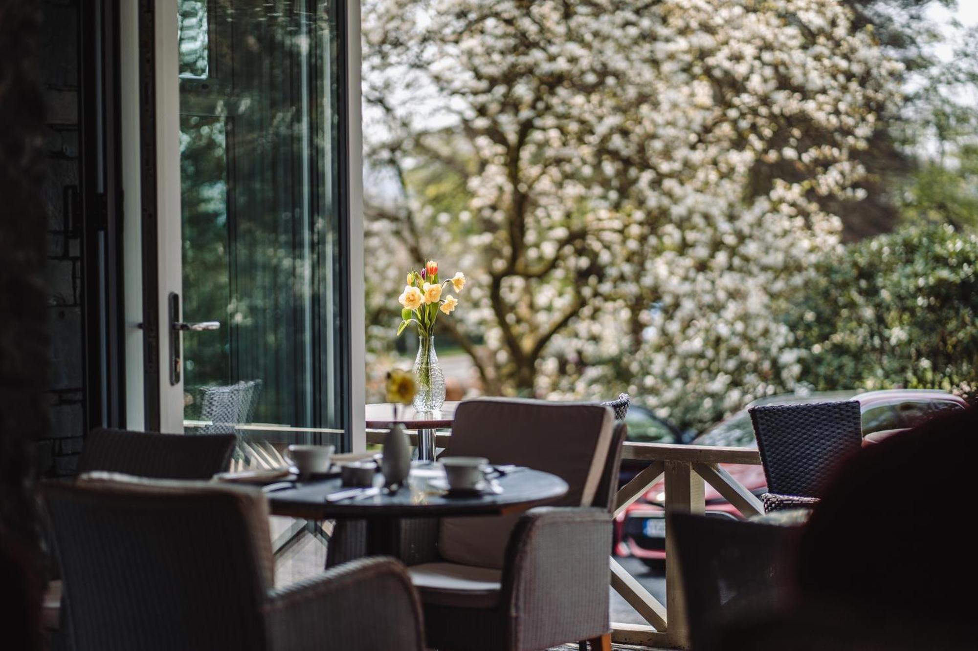 Ambleside Manor - Vegetarian B&B Экстерьер фото